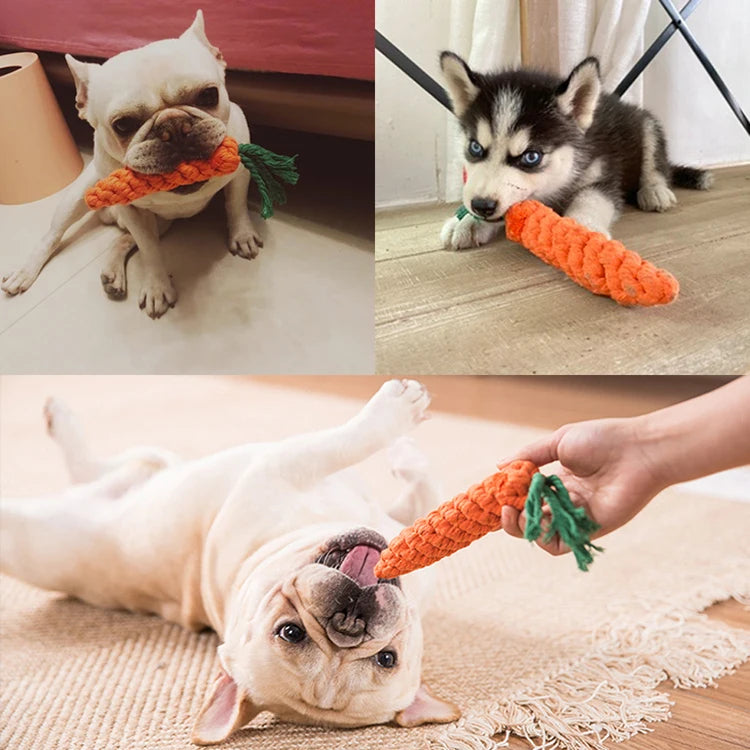 1pc Pet Dog Toy Cartoon Animal Dog