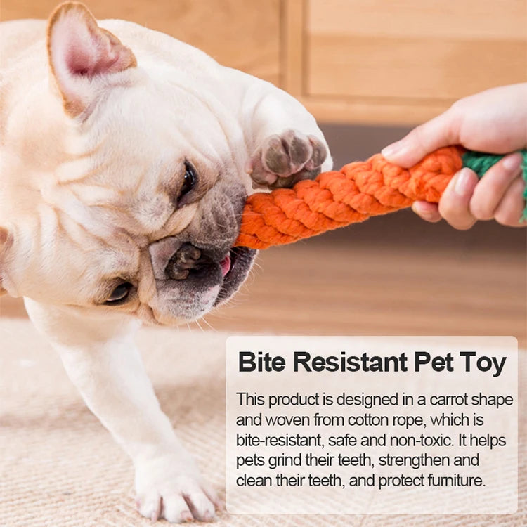 1pc Pet Dog Toy Cartoon Animal Dog