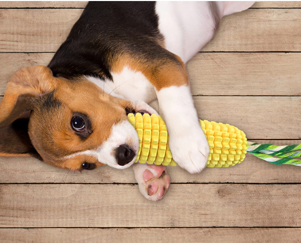 Pet Hot Sale Dog Toy Corn Molar Grinding Stick Chew Toy Dog Chew  Pet Interactive Dog Toys