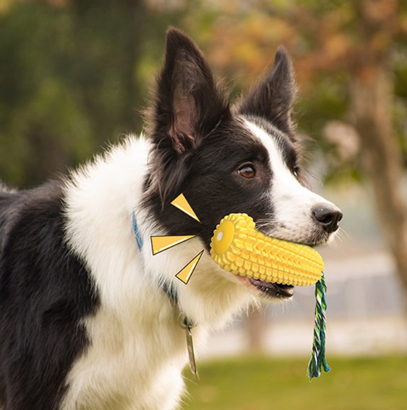 Pet Hot Sale Dog Toy Corn Molar Grinding Stick Chew Toy Dog Chew  Pet Interactive Dog Toys
