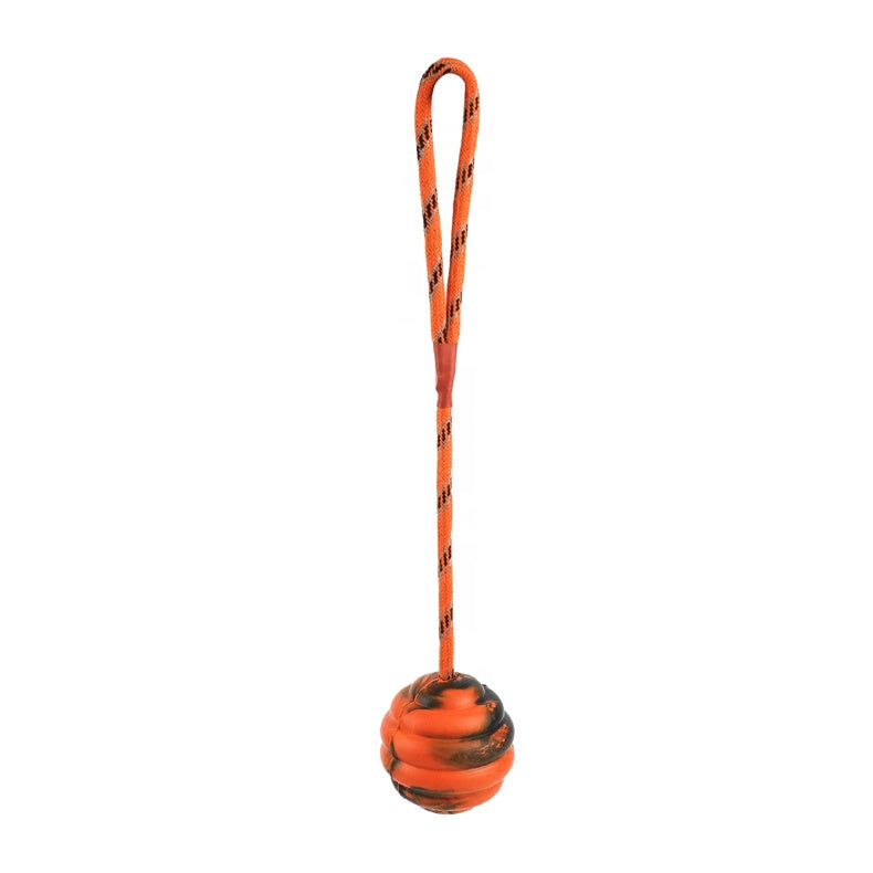 Rubber Dog Exercise and Training Ball Toy Pet Toothbrush Toy Dog Chew Ball Toy With Rope