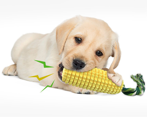 Pet Hot Sale Dog Toy Corn Molar Grinding Stick Chew Toy Dog Chew  Pet Interactive Dog Toys